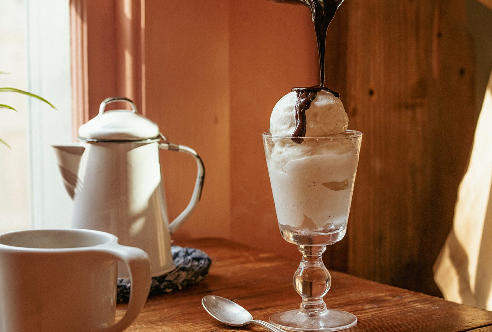 Cold Brew Coffee Ice Cream with Hot Chocolate Sauce